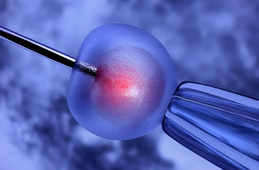 _试管过程与费用_试管费用清单