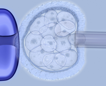 _成都做试管婴儿成功率排行_成都单身试管婴儿