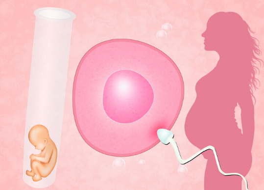 _成都单身圈这个组织怎么样_成都单身应该去的地方