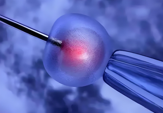 _单身女做试管婴儿要多少钱_国内单身试管