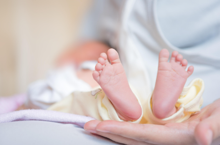 _柬埔寨单身女性做三代试管选性别合法吗？费用、流程、成功率全解析！_柬埔寨单身女性做三代试管选性别合法吗？费用、流程、成功率全解析！