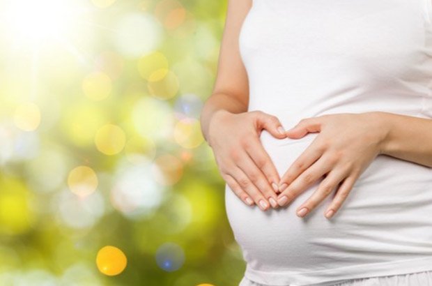 格鲁吉亚同性伴侣代孕政策解析